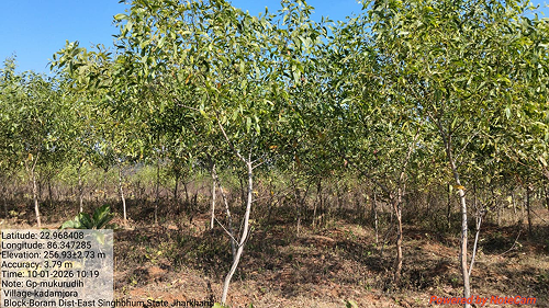 Impact Project Image